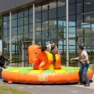 Inflatable Bouncer