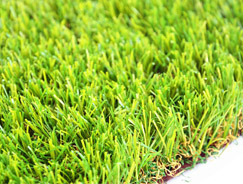 Artificial Grass